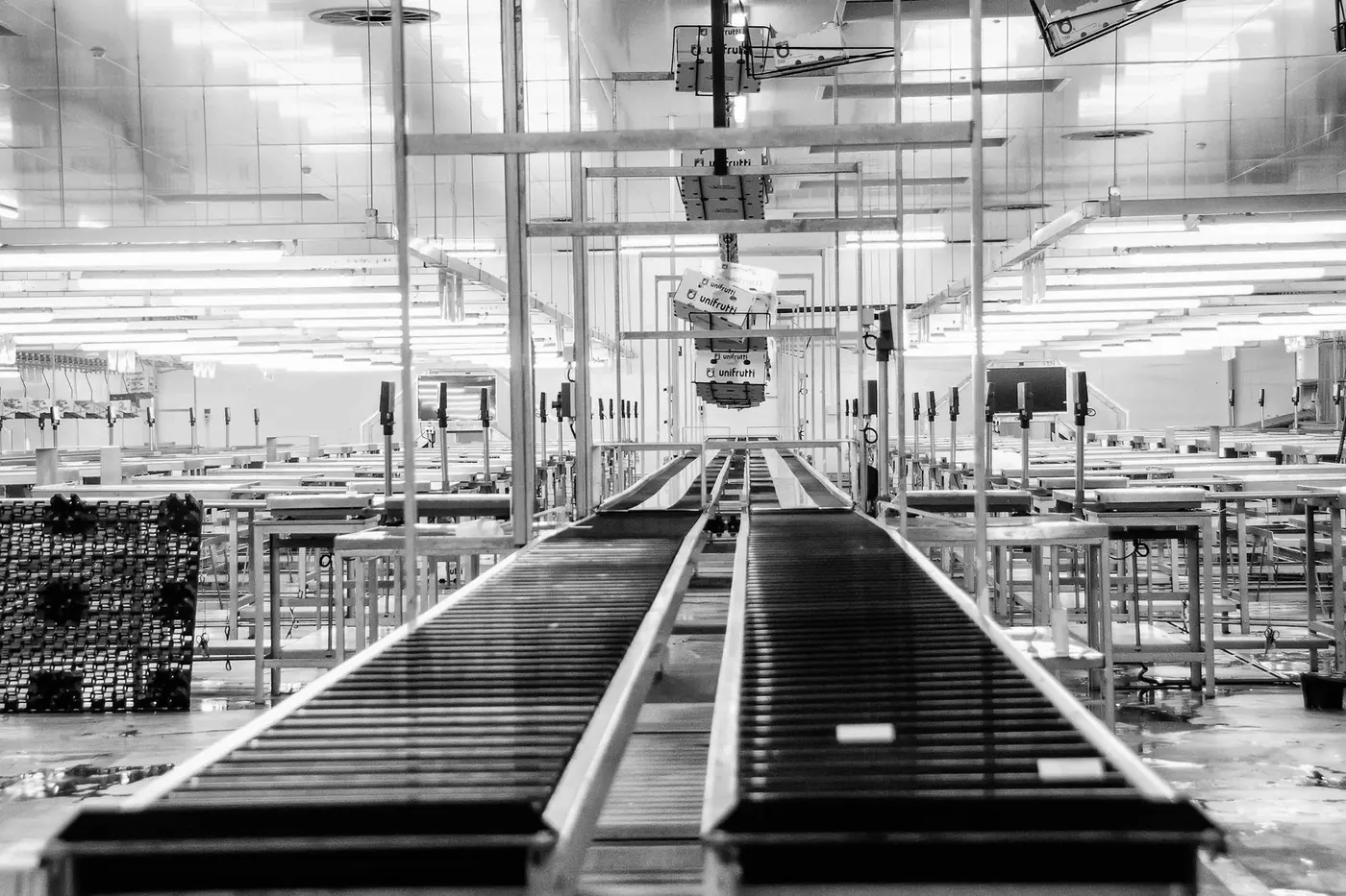 Manufacturing plant operations and production environment